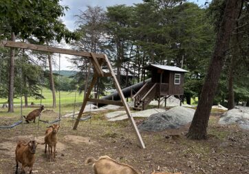 40&rsquo; Slide & Swing Sets