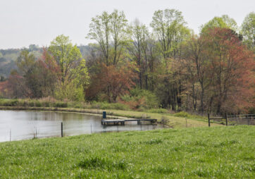 The Pond &mdash; Fishing on the Farm