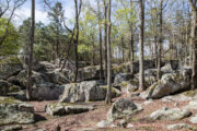 Bear Creek Log Cabins — Lookout Mountain, Alabama