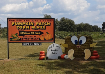 Down on the Farm Pumpkin Patch & Corn Maze