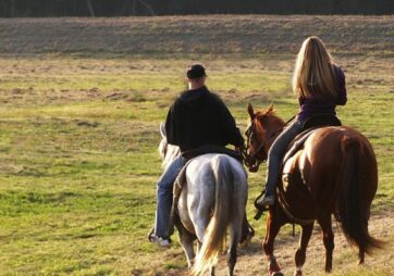 Holly Springs Stables