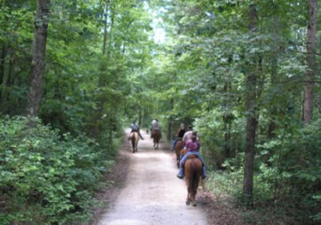 Shady Grove Dude Ranch