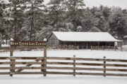 Bear Creek Log Cabins — Lookout Mountain, Alabama