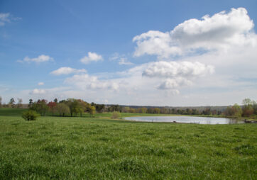 The Pond &mdash; Fishing on the Farm